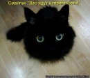 Фотография I Татьяны