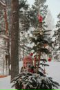 Фотография Андроханов-Старший Александр