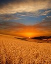 Іванка Онуковська фотография #46 (источник - https://vk.com/id136724722)