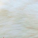 Ірина Кукурудза фотография #33 (источник - https://vk.com/id22514152)