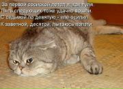 Фотография Цигаревой Вероники