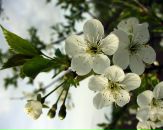 Ірина Сульжук фотография #21 (источник - https://vk.com/id10450442)