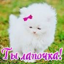 Юля Марків фотография #46 (источник - https://vk.com/id132234243)