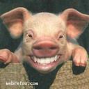 Стьопа Вітровий фотография #20 (источник - https://vk.com/id108547679)