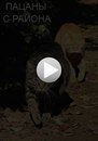 Іван Левенец фотография #32 (источник - https://vk.com/id159658743)