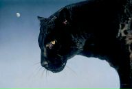 Фотография Харьковой Светланы