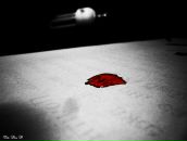 Den D фотография #46 (источник - https://vk.com/id9200327)