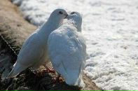 Taras Esthesia фотография #16 (источник - https://vk.com/id19869935)