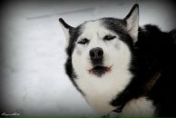 Фотография Гудакова Михаила