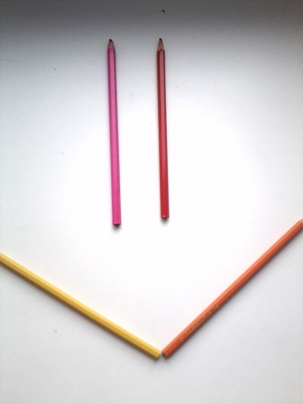 Дина Дак фотография #1