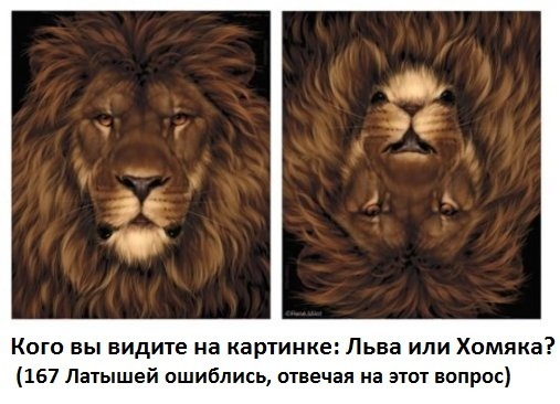 №13, Александр Литвяков, 38 лет, Магнитогорск №13, Александр Литвяков, 38 лет, Магнитогорск