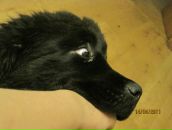 Фотография Зыриной Елены