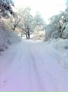 Мар'яна Іванейко фотография #8 (источник - https://vk.com/id132363870)