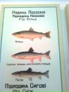 Віталік Пасєка фотография #40 (источник - https://vk.com/id63623114)
