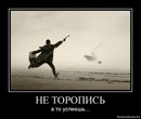 Фотография Скворцова Анатолия