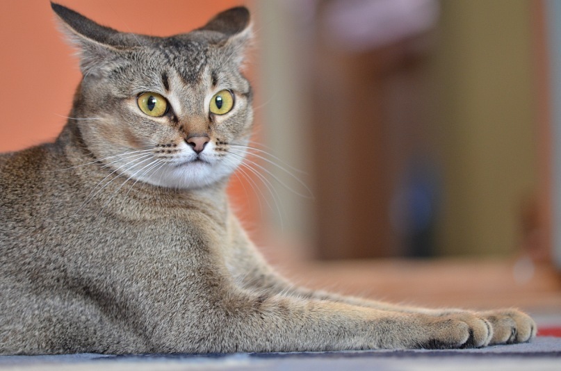 Эльдар Семенеев фотография #23