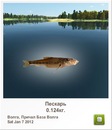Катя Семенів фотография #23 (источник - https://vk.com/id150644712)
