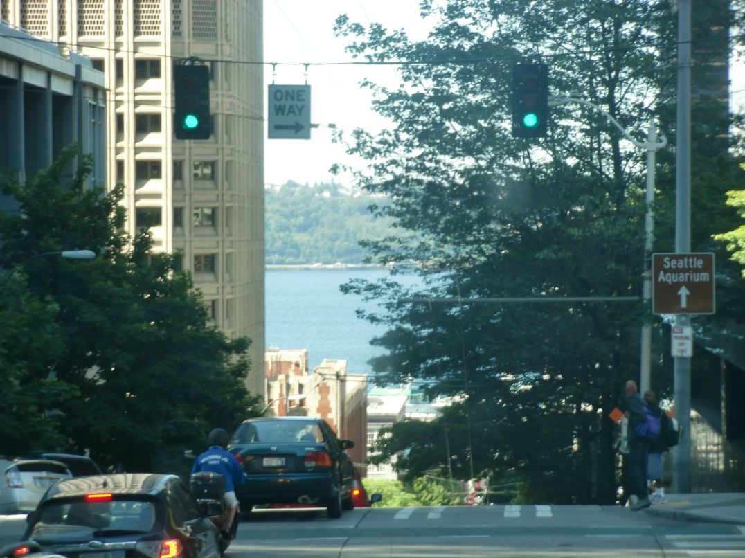 Olya Alexeeva фотография #35