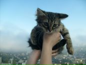 Фотография Коваленко Даши