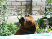 Фотография Жадёнова Эдуарда