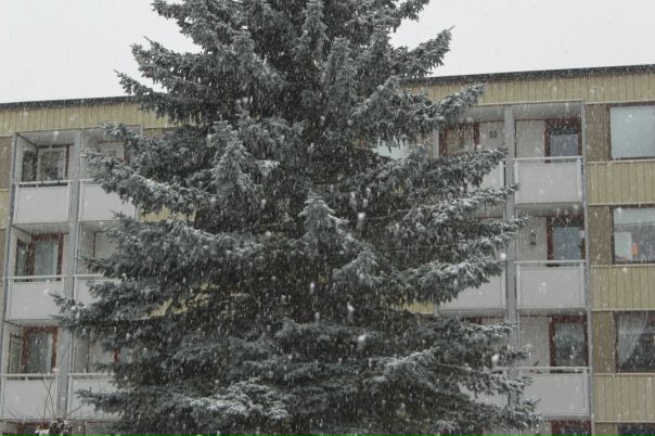 №6, Анна Шагалова, 16.6.1984 №6, Анна Шагалова, 16.6.1984