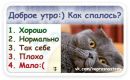 Олексій Куценко фотография #39 (источник - https://vk.com/id123470495)