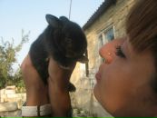 Фотография Агаевой Рамили