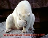 Фотография Рогачёва Ивана
