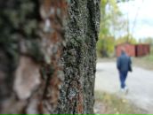 Фотография Лукичёва Владимира