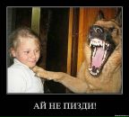 Фотография Романова Владислава