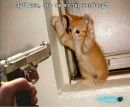 Саньок Фількевич фотография #6 (источник - https://vk.com/id160378657)