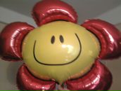 Фотография Vissarionova Olga