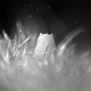 Фотография Банных Андрея