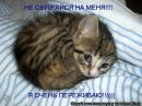 Георгій Радчук фотография #6 (источник - https://vk.com/id165095966)