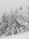 Юлія Вербовицька фотография #29 (источник - https://vk.com/id49526237)