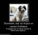 Андрій Покидюк фотография #36 (источник - https://vk.com/id41637347)