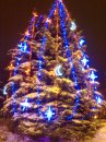 Юля Олійник фотография #31 (источник - https://vk.com/id63757220)