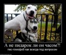 IrkO ♥...ACID...♥ фотография #21 (источник - https://vk.com/id56309414)
