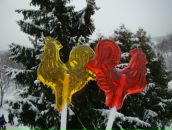 Фотография Русаковой Анны