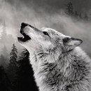 Андрій Скрипка фотография #1