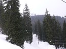Лігерко Дмитро фотография #32 (источник - https://vk.com/id134888528)