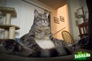 Фотография Пименова Олега