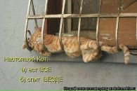 Валентин Поліщук фотография #42 (источник - https://vk.com/id27043663)