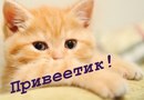Вітусик Кутусик фотография #8 (источник - https://vk.com/id162507818)