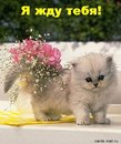 Аня Іванова фотография #1