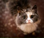 Фотография Грудино Ярославы