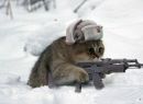 Фотография Костя Невзоров