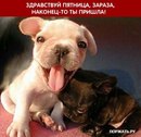 Вікторія Турак фотография #15 (источник - https://vk.com/id154940150)