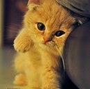 Орися Поцілуйко фотография #17 (источник - https://vk.com/id173804798)