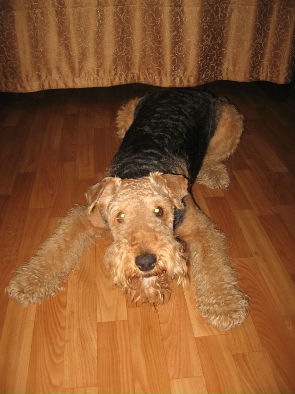 Вера Ефремова фотография #4